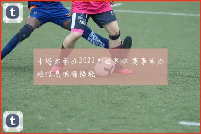 卡塔尔承办2022年世界杯 赛事举办地信息明确揭晓