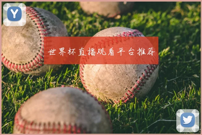 世界杯直播观看平台推荐