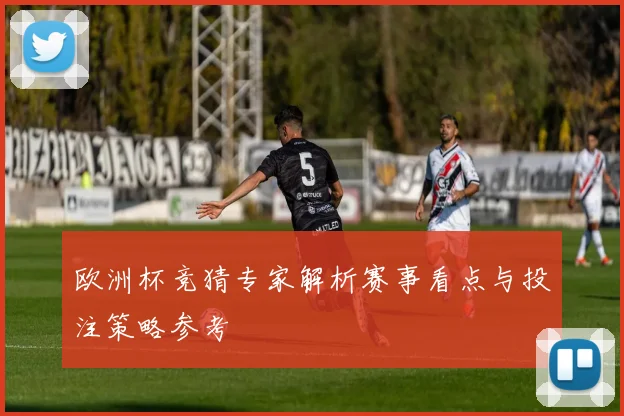 欧洲杯竞猜专家解析赛事看点与投注策略参考