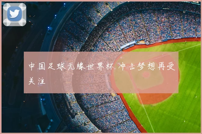 中国足球无缘世界杯 冲击梦想再受关注